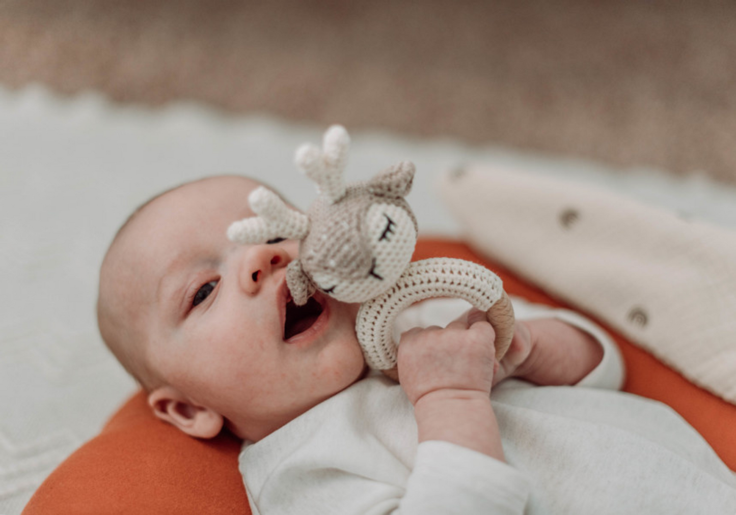 Welcome Baby Gift Set, Oh Deer Bundle